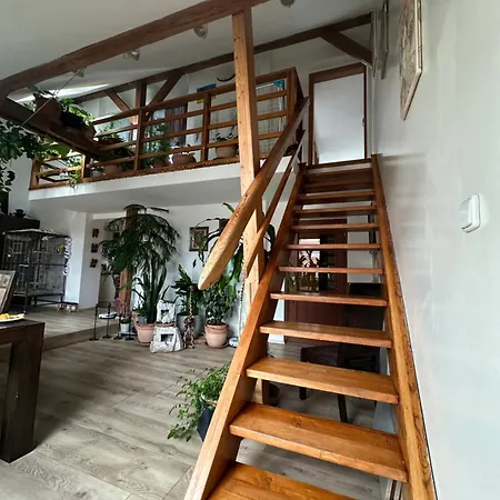 Private Floor With Rooftop Terrace