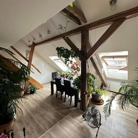 Private Floor With Rooftop Terrace