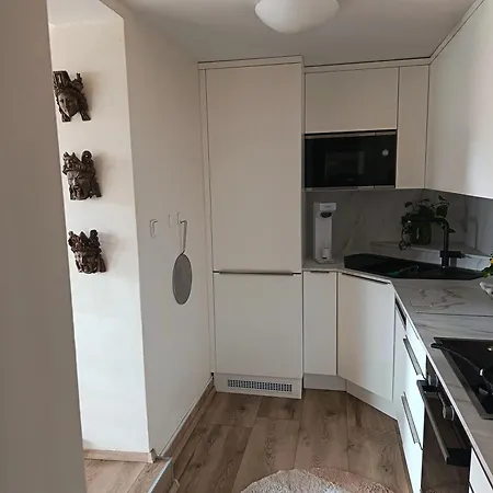 Appartement Private Floor With Rooftop Terrace Prague